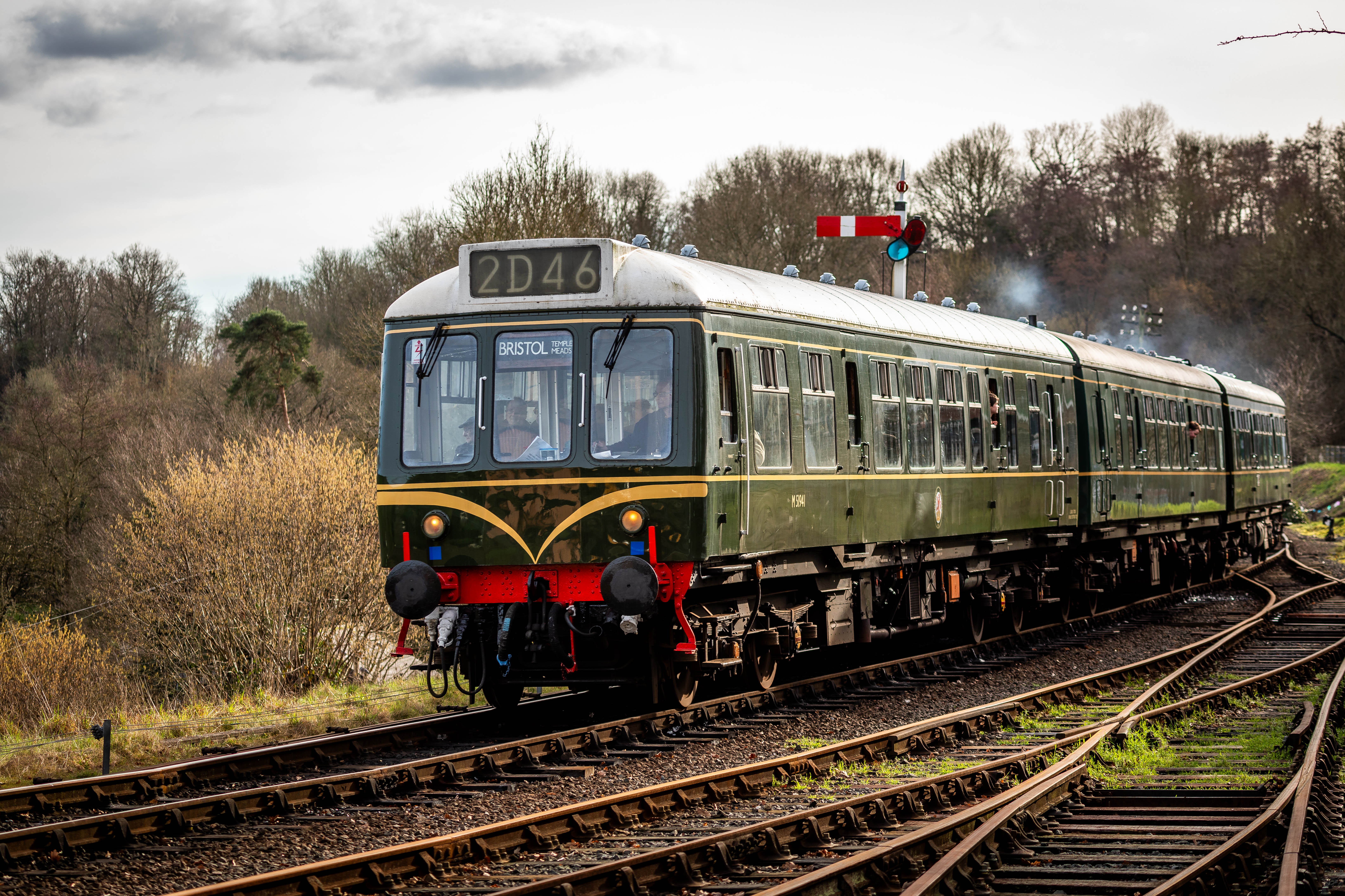 Green diesel train in the countryside